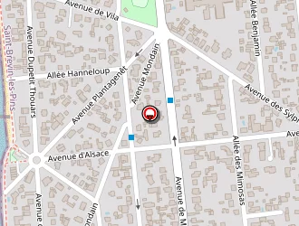 Carte de Allard Robert à Saint-brevin-les-pins