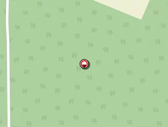 Carte de Thibaut Xavier à Vielmanay