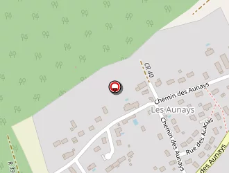 Carte de Meunier Anthony à Saché