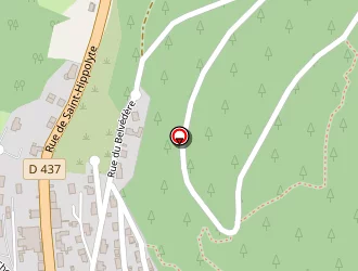 Carte de Triponney Philippe Henri à Maîche