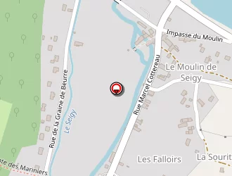 Carte de Ecole Primaire Publique à Seigy