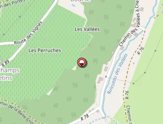 Carte de Delalay Daniel à Cheillé