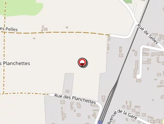 Carte de Renard Manuel à Chabris