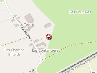 Carte de Perthuis Robert à Chapelle-sur-loire (la)