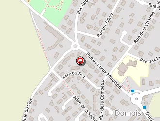 Carte de Berthier Jean à Fénay