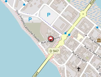 Carte de Ciseaux De Loire à Saumur