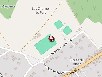 Carte de Pierry Patrick à Saint-aignan