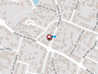 Carte de Les William à Pouliguen (le)