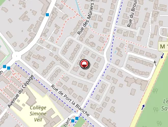 Carte de Roustang Patrick à Nantes