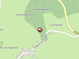 Carte de Champenois Daniel à Saint-brisson