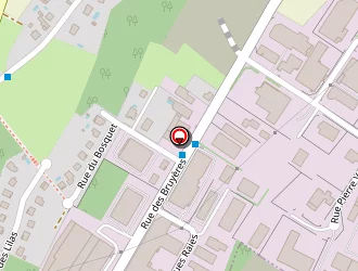 Carte de Savelys à Thise