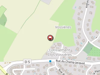 Carte de Conscience Eric à Pelousey