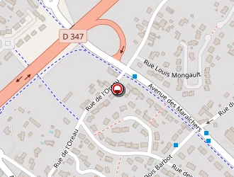 Carte de Ferrault Didier à Saumur