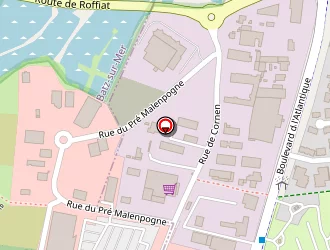 Carte de Contrôle Auto Sécurité à Batz-sur-mer