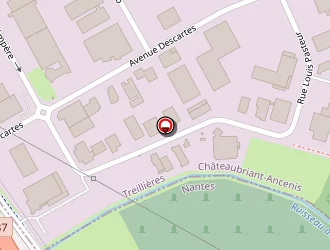 Carte de Impression Visuelle à Treillières