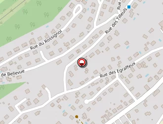 Carte de Petrocelli Giuseppe à Thise