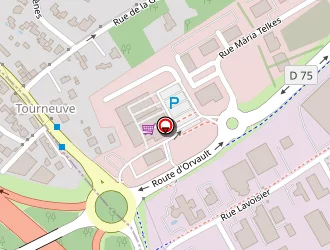 Carte de Serea à Treillières