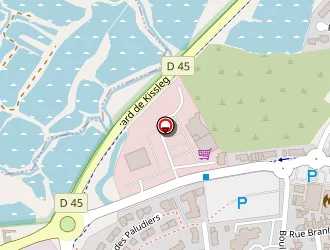 Carte de Fournier à Pouliguen (le)