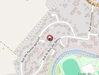 Carte de C.p.s.i à Selles-sur-cher