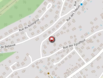 Carte de Stephenson Véronique à Thise