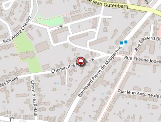 Carte de Thudor Annick à Saint-nazaire