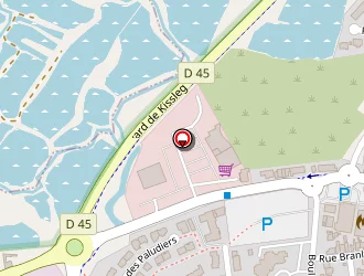 Carte de Le Nedellec Carine à Pouliguen (le)