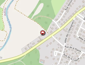 Carte de Pinon Roger à Montbazon