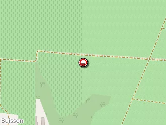 Carte de Sirotteau Alexandra à Saint-nicolas-de-bourgueil