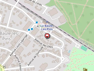 Carte de Taxi Presqu'île La Baule à Baule-escoublac (la)