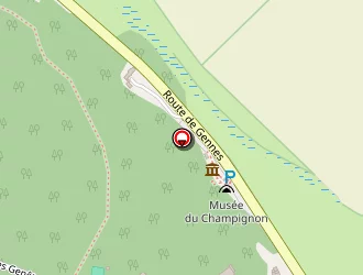 Carte de Base D'aviron à Saumur