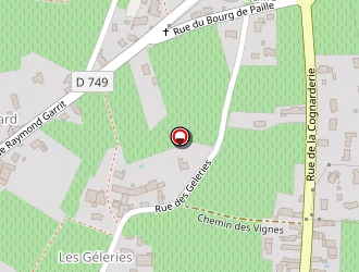 Carte de Bibliothèque Municipale à Bourgueil