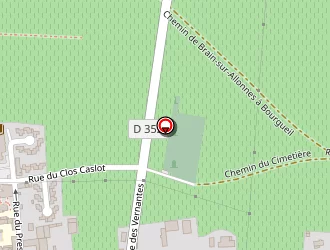 Carte de Plumel Michel à Saint-nicolas-de-bourgueil