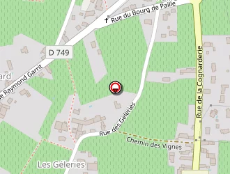 Carte de Duveau-coulon Guy à Bourgueil