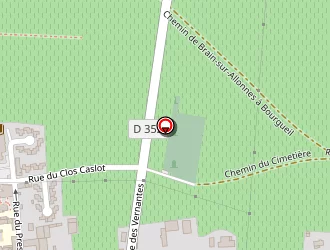 Carte de Chalumeau Cyril à Saint-nicolas-de-bourgueil