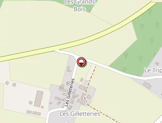 Carte de Bourgoing Véronique à Truyes