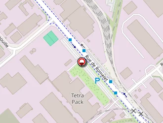 Carte de Les Douanes à Longvic