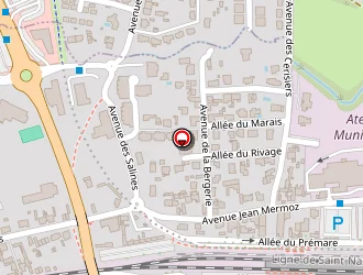 Carte de Samson Ronan à Baule-escoublac (la)