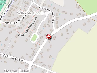 Carte de Nauleau Alain à Esvres