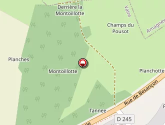 Carte de F.s.b à Vaire-le-petit