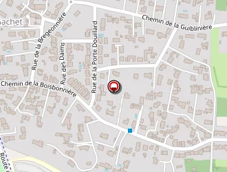 Carte de Bedin Stéphane à Nantes