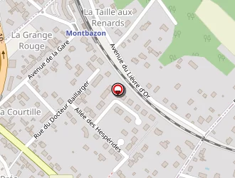 Carte de Saramandif Henley à Montbazon