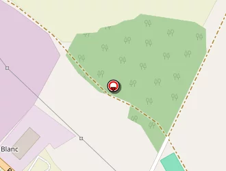 Carte de Loir Et Cher Ravalement à Billy