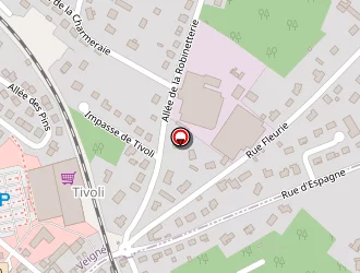 Carte de Fromentin Lise à Veigné