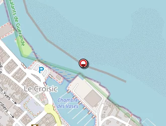 Carte de Bideau Gérard à Croisic (le)