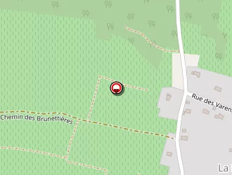 Carte de Lievre Cyriaque à Ingrandes-de-touraine