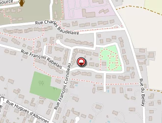 Carte de Triade Informatique (benoit Suard) à Allonnes