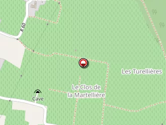 Carte de Billy Gérard à Saint-nicolas-de-bourgueil