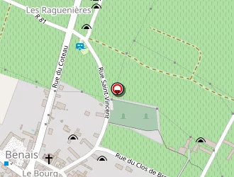 Carte de Richer Stéphane à Benais