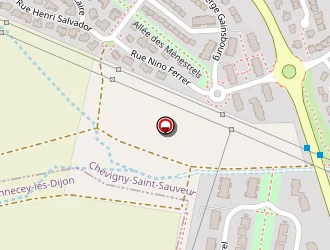 Carte de Instant Zen à Chevigny-saint-sauveur