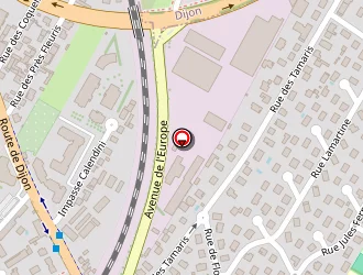 Carte de Riedinger Alina à Longvic